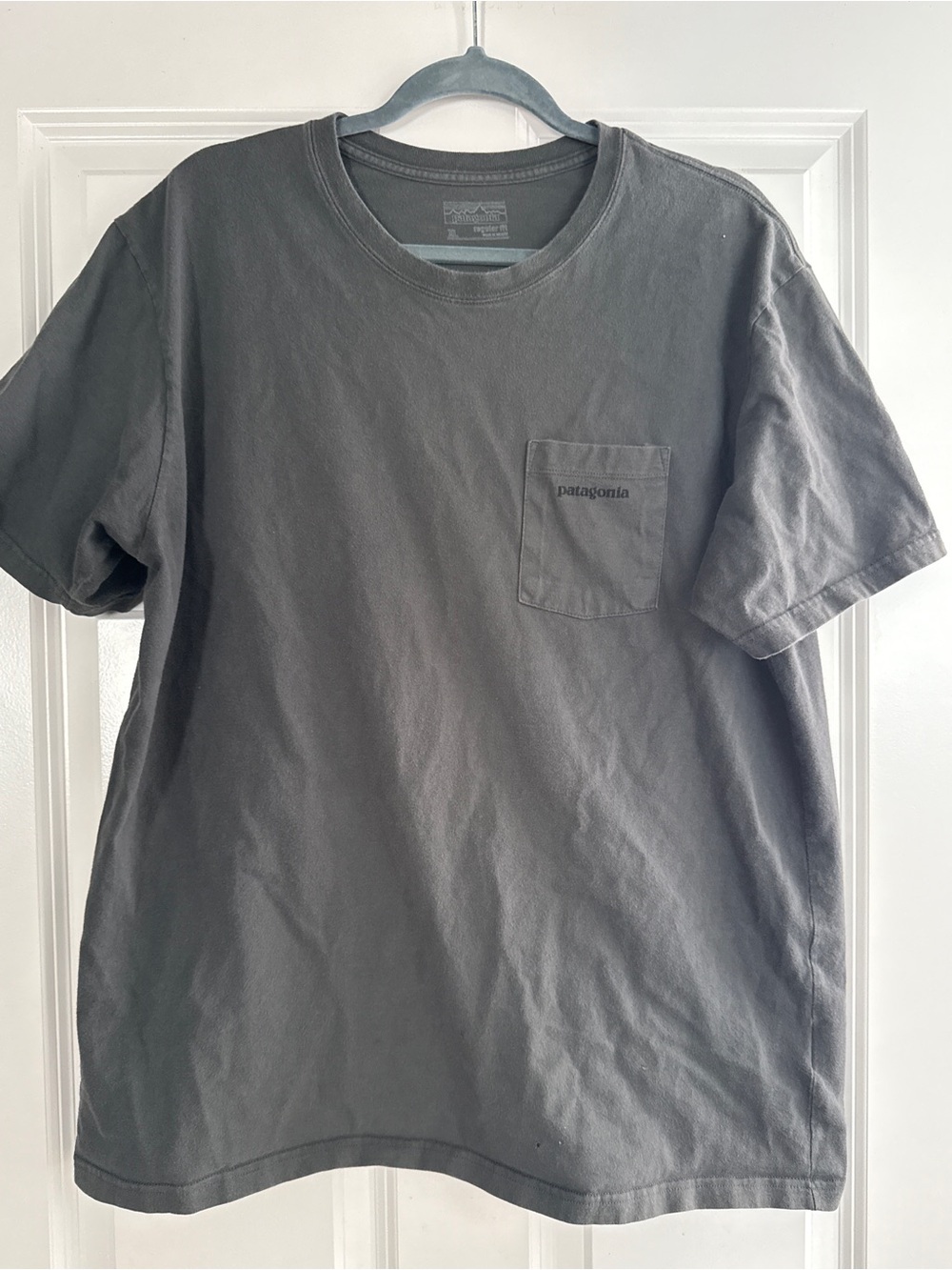 Patagonia Gray Short-Sleeve Pocket T-Shirt
